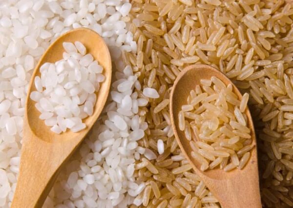 Labador Rice Can Labradors eat rice? Can I feed my Labrador rice daily?