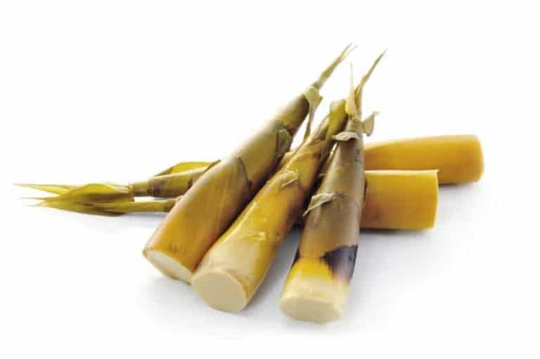 Can dogs eat bamboo shoots?