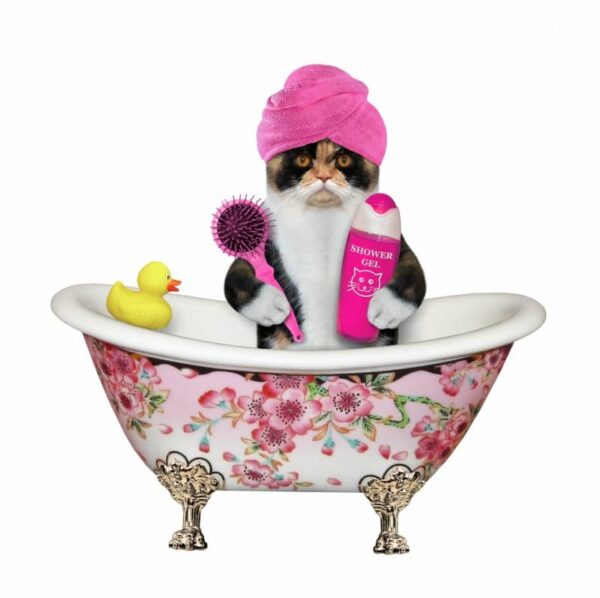 How do you clean poop out of a long hair cat's fur?