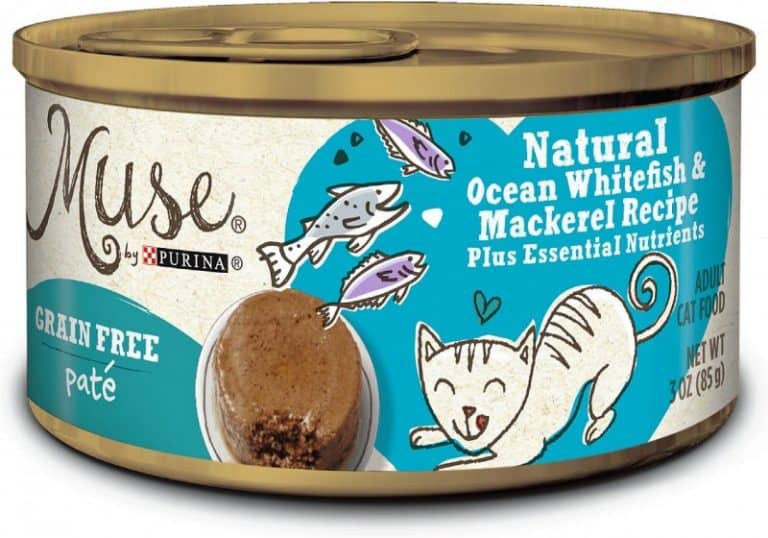 14 Best Tasting Cat Foods for Picky Cats [ 2022 Update ]