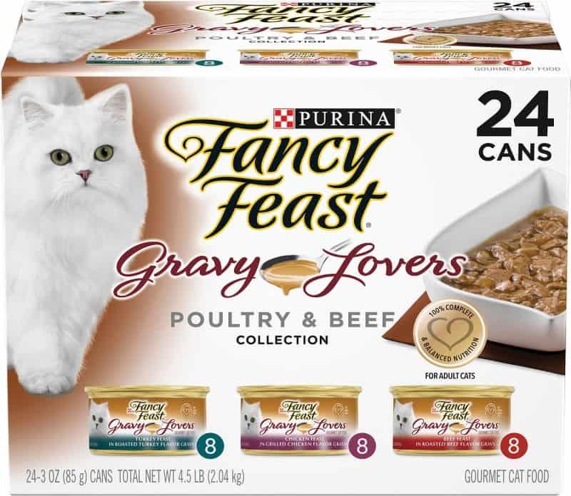 14 Best Tasting Cat Foods for Picky Cats [2024 Update]