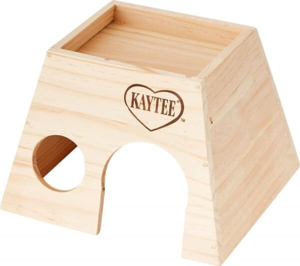 The 24 Best Toys For Hedgehogs [2024 Update]