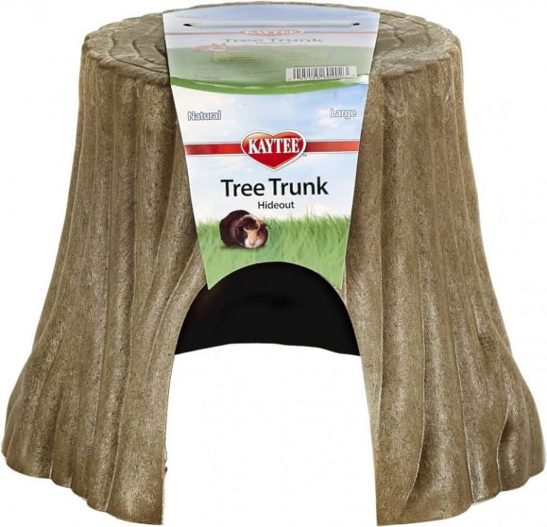 The 24 Best Toys For Hedgehogs [2024 Update]