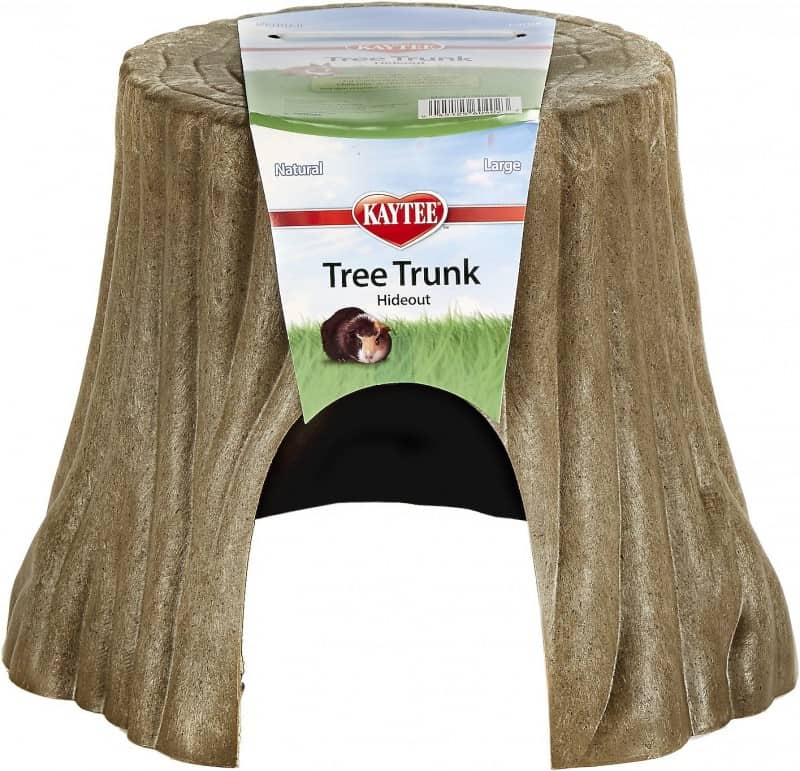 The 24 Best Toys For Hedgehogs [2024 Update]