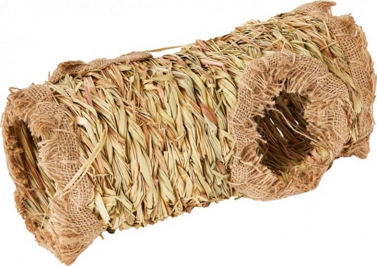 The 24 Best Toys For Hedgehogs [2023 Update]