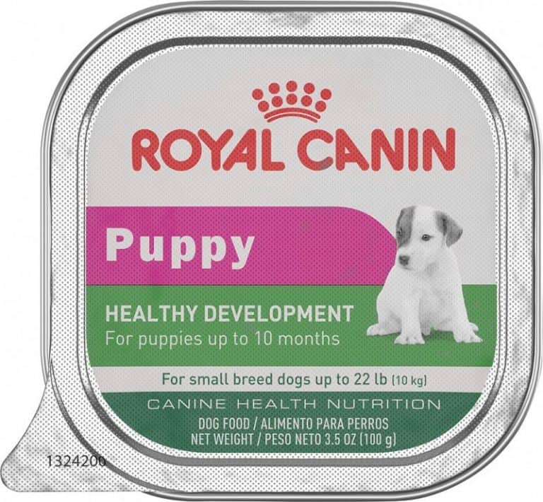 7 Best Dog Foods For Cavalier King Charles [2023 Update]