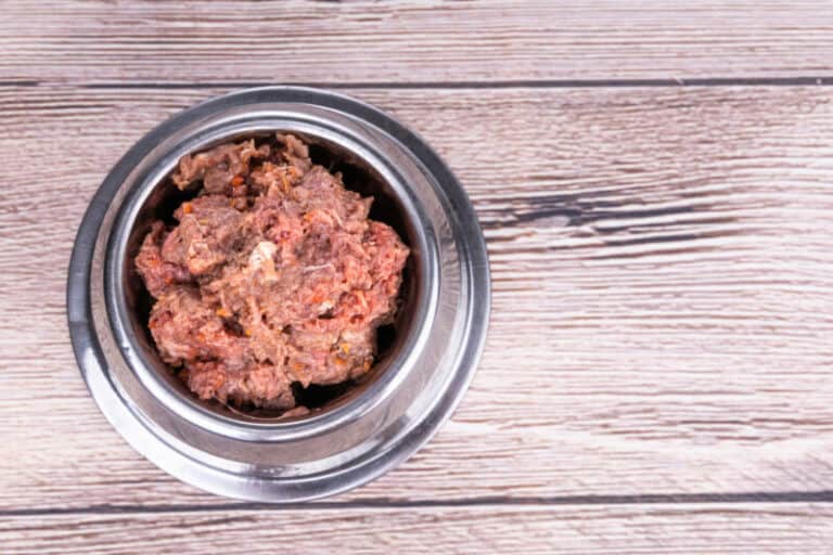 My Dog Ate Raw Frozen Meat Should I Be Worried?