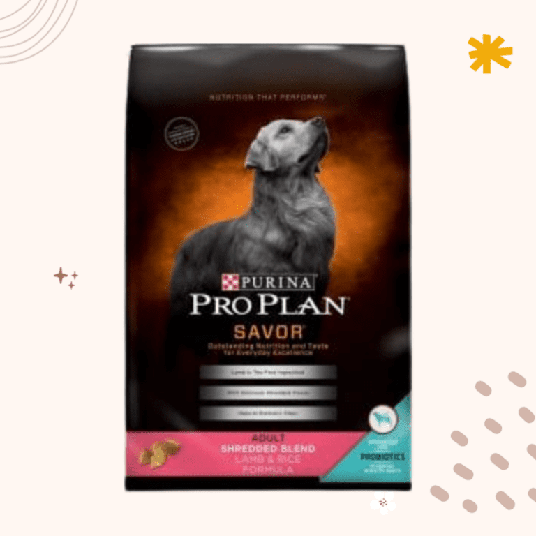 The 10 Best Dog Foods for Liver Diseases [ 2023 Update ]