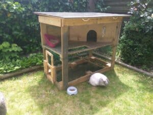 13 Steps To Predator Proof Your Rabbit Hutch